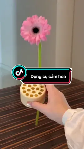 Dụng Cụ Định Hình Sắp Xếp Hoa Nghệ Thuật #camhoa #dungcucamhoa #xuhuong #foryou 