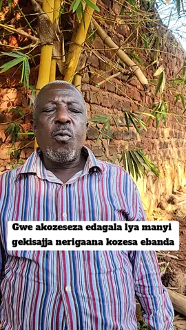 Kozesa ebanda ku manyi gekisajja #foryou #edagala #foryoupage #fy #fyp #fy #paratii #fpyシ #fyyyyyyyyyyyyyyyy #fppppppppppppppppppp #lubaale #ugandatiktok #ugandatiktok🇺🇬 