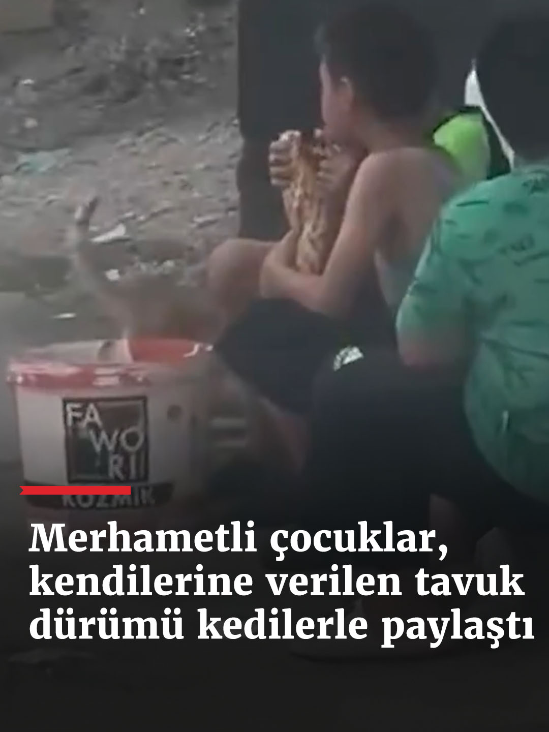 Gaziantep'te çocuklar, kendilerine verilen tavuk dürümü kedilerle paylaştı.