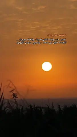 وليشهد التاريخ أن حفنة من الخبز أصبح حلم لأهل غزة 💔 #فلسطين🇵🇸  #غزة_فلسطين 