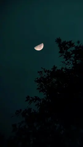 🌓