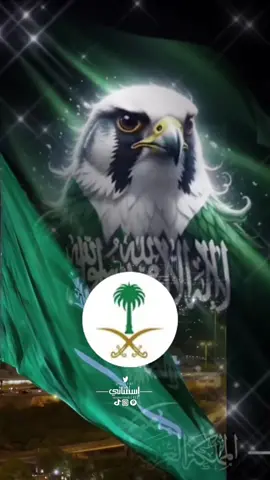 #CapCut #اكسبلورexplore #saudiarabia🇸🇦 #محم_بن_سلمان #foryou 