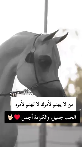 #تحياتي_لجميع_المشاهدين_والمتابعين #اكسبلورexplore #سوهاج_قنا_اسيوط_اسوان_المنيا_الاقصر #هشتاقاتي_الترند_المشهوره🤭 #متابعة 