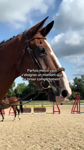 #horse #cavalier #pourtoii #equitation 