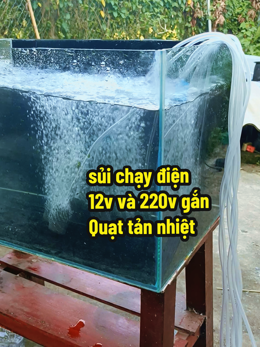 sủi chạy điện 12v và 220v gắn Quạt tản nhiệt 
