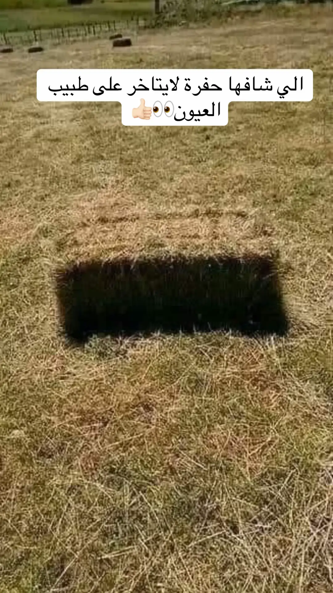 6/6