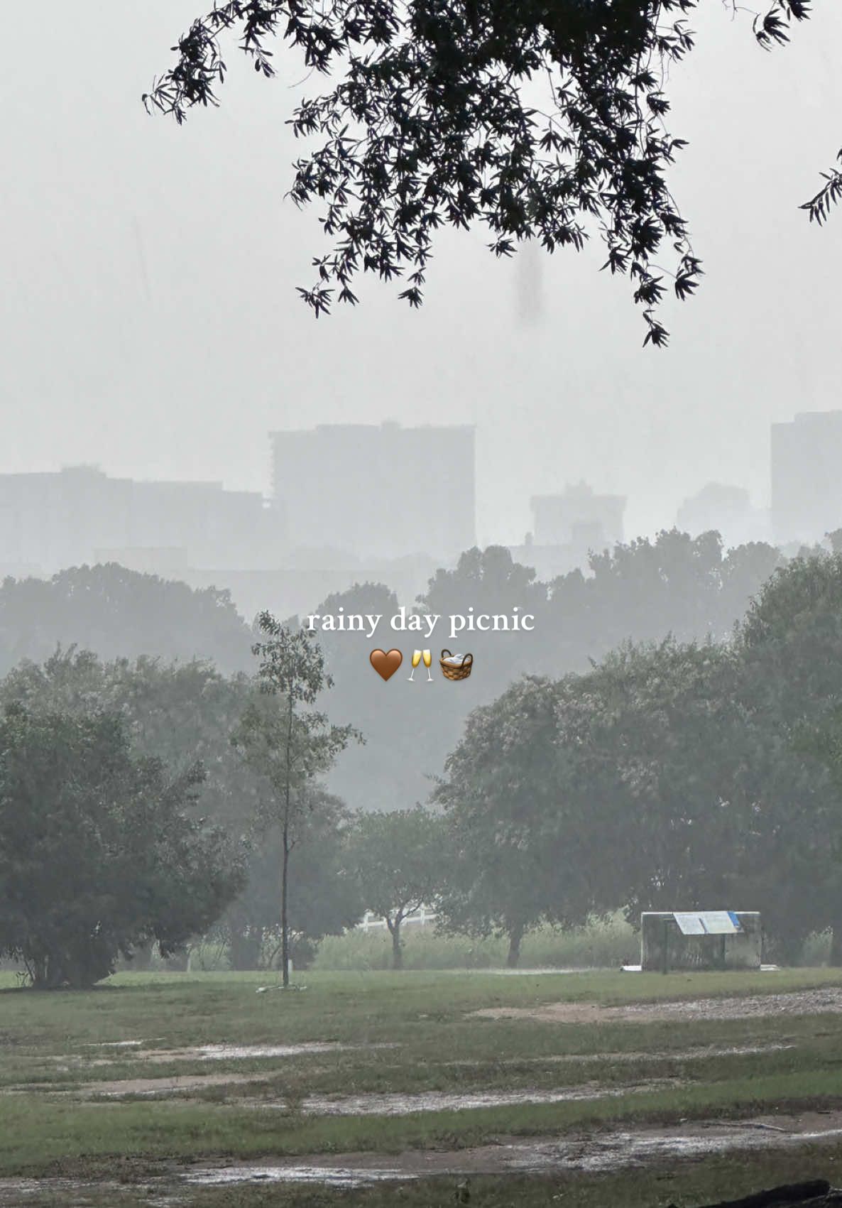 My dream date. Cute 🤎 #brunotheboxer #dogsoftiktok #dogs #boxer #date #datenight #rain #picnic #park 