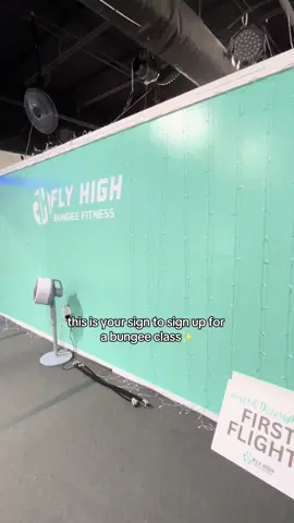 10 reps of she was a fairy🧚‍♂️ @Fly High Bungee Fitness  #workout #bungeefitness #bungeeworkout #fyp #Fitness 