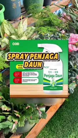 ‎semburan anti serangga sesuai untuk semua bunga, buah dan sayur. #penjagadaun #tiphalauserangga #tanaman #buahsayur #sprayseranggaorganik #jomberkebun ‎