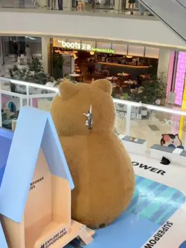 When your cat decides the mall’s giant teddy bear is its throne 🐾👑 #BossMoves  #CatOnTheThrone #TeddyBearTakeover #MallCat #ClimbingKitty #CatAdventure #FelineRoyalty #ViralCat #FunnyCatVideo #CatVsBear #CatStunts #CatLife #PetGoals 