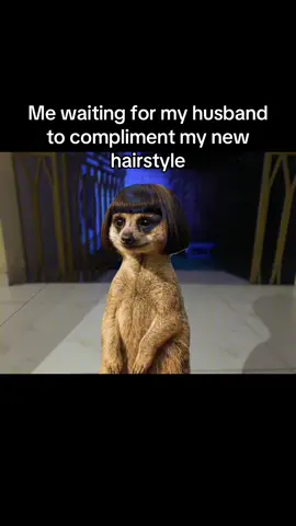 identifiable😂 ? #relatable #girlfriend #boyfriend #Relationship #relationshipgoals #couple #couplegoals #typ #viralvideo