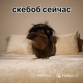 #скебоб #skebob #дикийогурец 