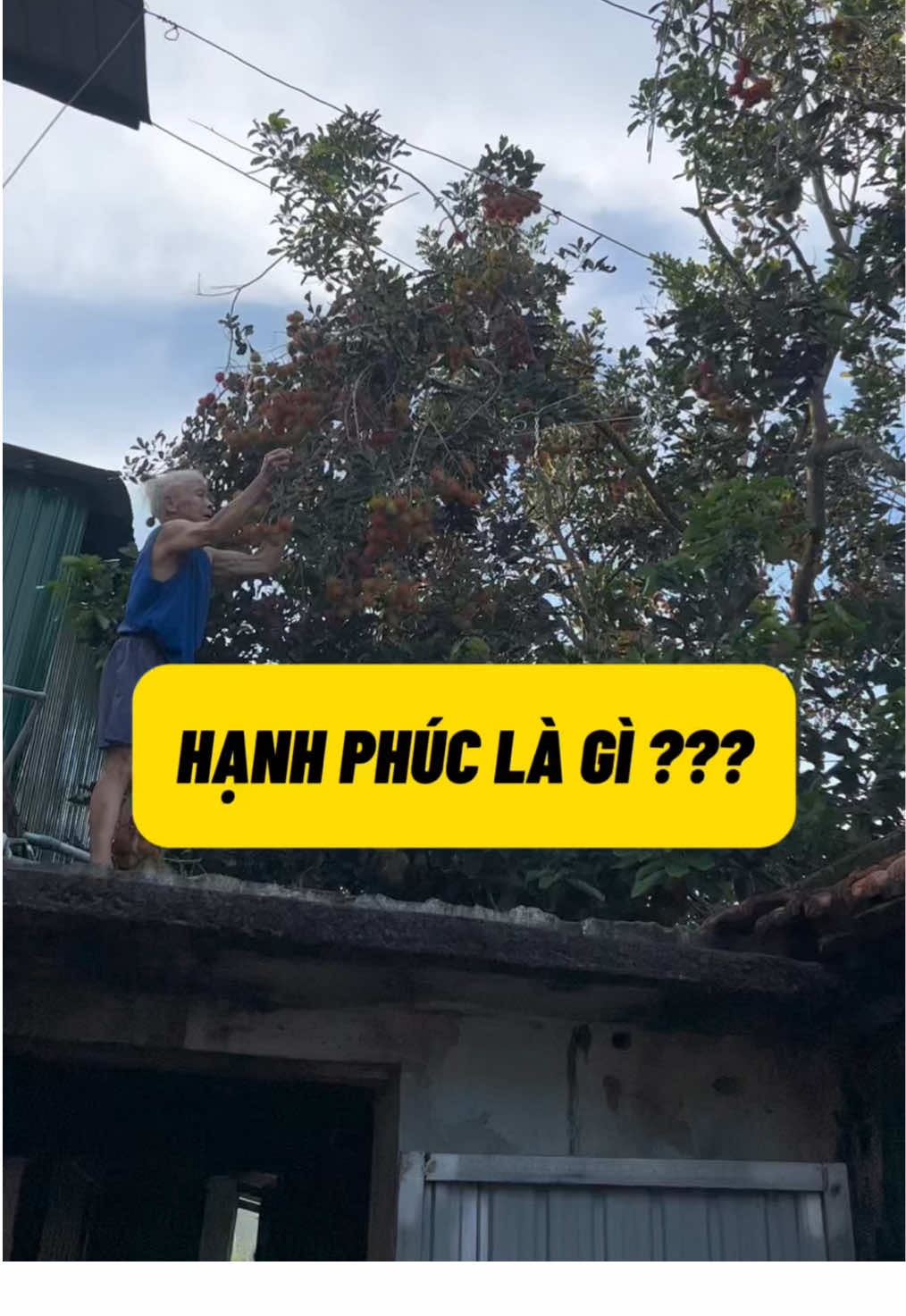 Cả bầu trời tuổi thơ của tôi. Ước gì ông bà thật nhiều sức khoẻ,  sống lâu bên cạnh con cháu. #conongdannuamua #cuocsong #tuoithotoi #tuoitho #ongba #giadinh #quehuongtoi 