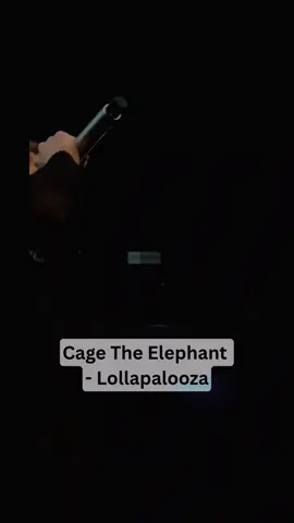 Cage The Elephant -Lollapalooza #cagetheelephant  #fyp #stream #live #irl #trending #viral #foryourpage #lollapalooza #music 