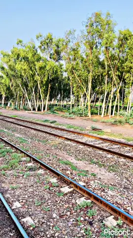 Railway station janiwala🚊##لہنداپنجاب  ##foryou##foryoupage##fyp##viralvideo##janiwalarailwaystation##janiwala##foryoupage##unfrezzmyaccount
