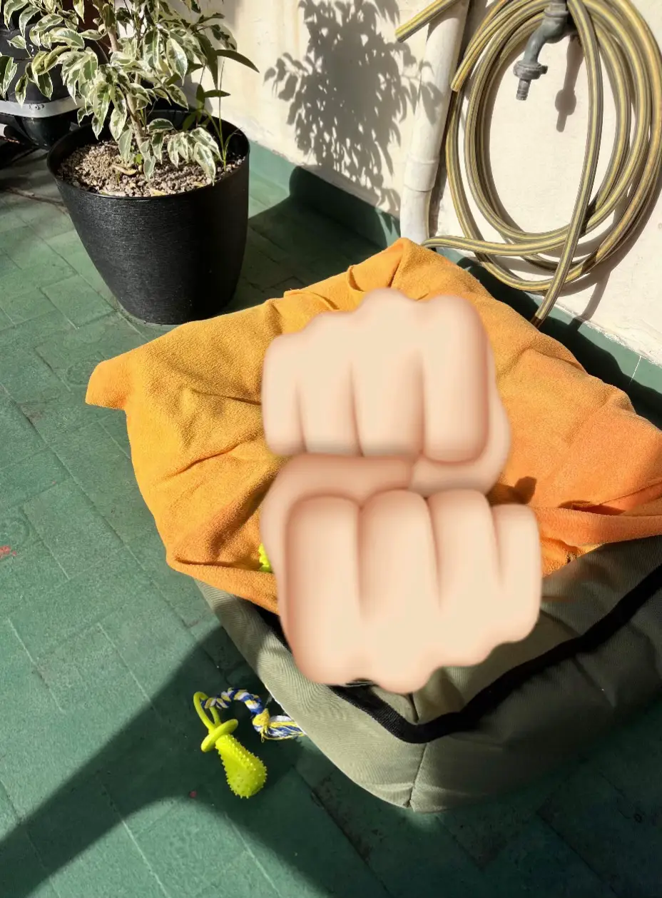 mini coco😅 #シ #🇦🇷🇦🇷 #parati #fypシ #Recuerdos 