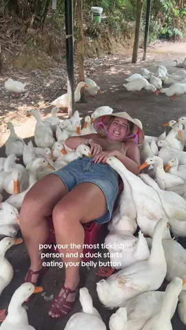 A must do if your visiting Phong Nha, The duck stop! It was such a fun and exciting experience until he started going down my pants 🫠🫠  #theduckstop #duckleading #phongnha #ducks #tourism #travel #backpacking 