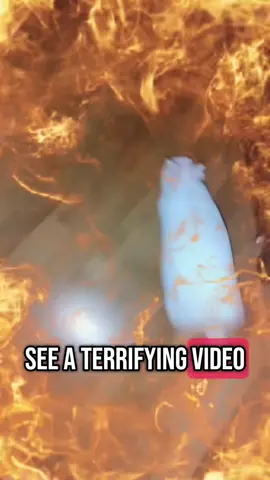 here you can see a terrifying video in which an innocent rabbit is desperately trying to escape a dark wizard but unfortunately the rabbit's efforts to escape are in vain as the evil dark wizard casts an attraction spell bringing the poor rabbit right back into his malicious hands  @gerbert @bruh73  #reditstory #rabbit #scary #evilwizard #creamernation #mustard #67  