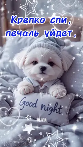 #Добройночи #спокойнойночи #ночь #сладкихснов #сон #приятногоотдыха #пожелания #длявас 