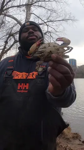 Can you catch a monster Blue Catfish with a Blue 