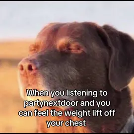 Best feeling #relatable #partynextdoor #pnd #xyzbca #viral 