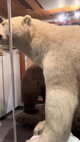 These are full scale models!