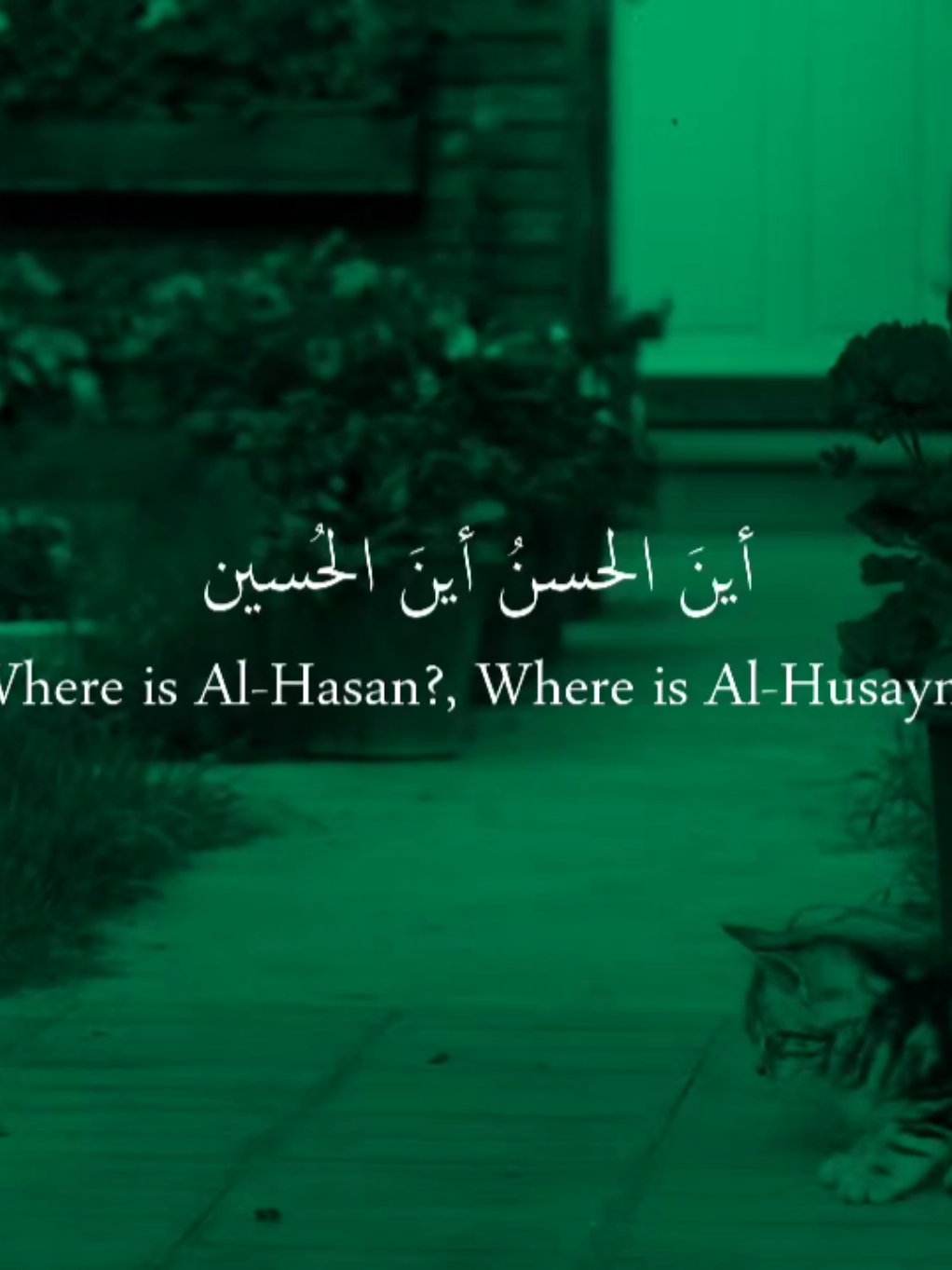 اين الحسن اين الحسين #تصميم_حسيني  #عاشوراء  #محرم  #a1_fs1 #الامام_الحسن_عليه_السلام  #الامام_الحسين_عليه_السلام🍂 