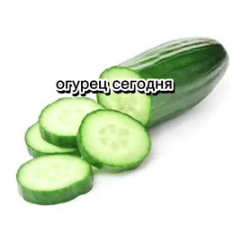 Дикий огурец 😯#дикийогурец  #ryf #дикийбанан 