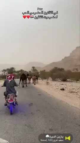 #لاحد_يحسب_الكل_يشارك🤣🤣🤣💔 #اليمن_حضرموت_الوادي_🇾🇪 #تعليقاتكم_لايك_كومينت_اكسبلور #جاي_من_اكسبلور_دق_الاضافه 