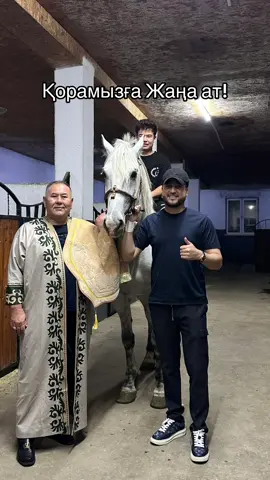 🔥Прокурор☪️🔥 Ұлы айналасы прокурор болғасын осылай атқа атау берген екен.Аттың есімін ауыстырмай алып кеттік😄😇  “Жаңа ат” Күйеу баласы сыйға тартқан ақ боз атты! Маған емес,саған жарасады деп ағалық ақ пейілімен Димаш ағам маған сыйлады.Жөн білетін,жол білетін осындай ағаларымыз аман болсын. Жақсылық тойда қайтсын. Қазығымызға ақ тұлпар байланды ағайын🙏🏻✅Құтты болсынды жаудырып қойыңыздаршы достаааар🤲🏼✊🏻🙏🏻👏🏼👍🫀✅  #ақбозат # #әбдіжаппар_әлқожа #rek #abdizhappar_alkozha #аға 