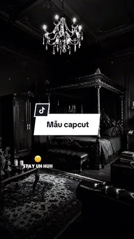 Phần 206 #CapCut Mẫu 2 ảnh nhạc trend…. -|_ Prada Remix #capcuth098 #edit_capcut #nhachaymoingay #lyrics #CapCut 