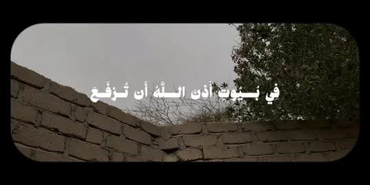 #عمر_ضياء_الدين #سورة_النور #قران #سبحان_الله_وبحمده_سبحان_الله_العظيم 