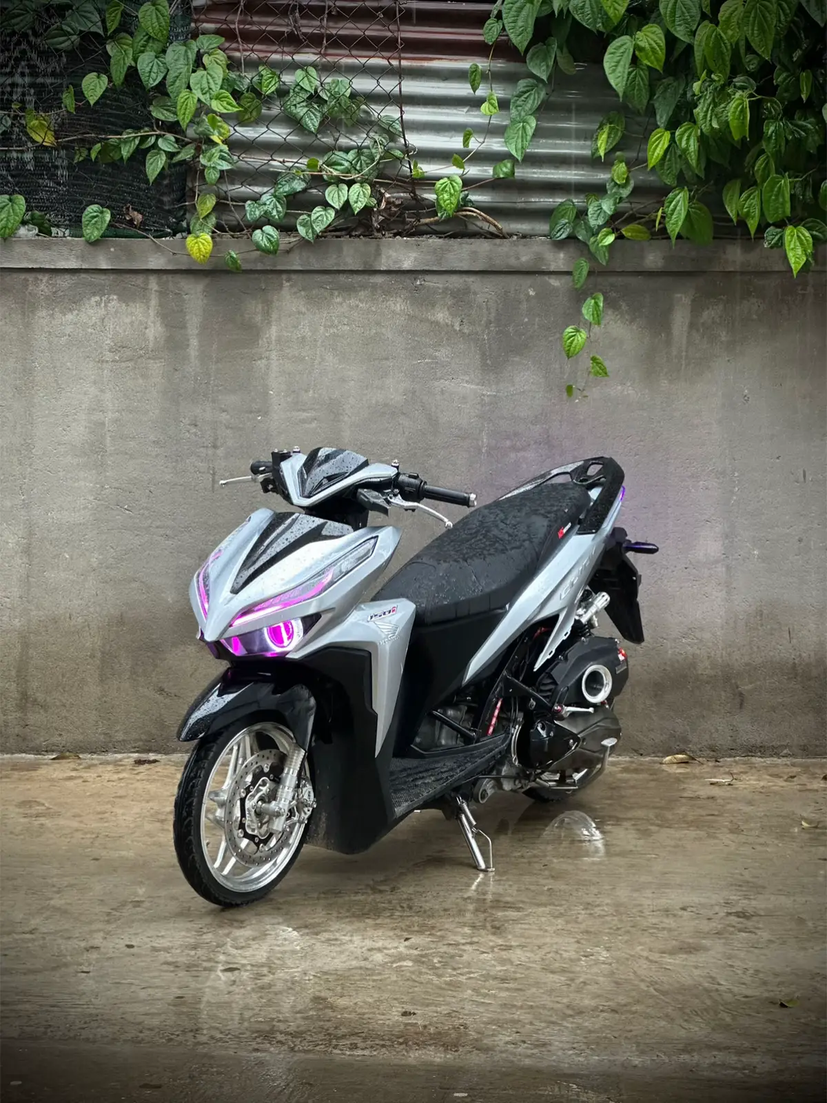 tạm biet tâm huyết 54316! 🖤 #xuhuongtiktok #xh #vario150 #variokieng150 #click 