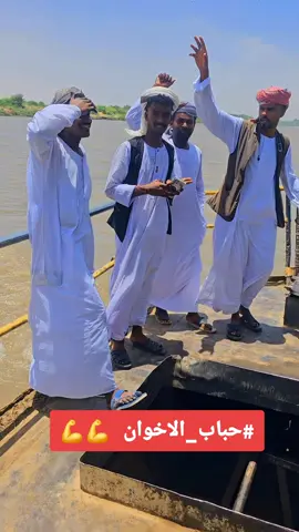 #ابشرو💪💪💪💪💪💪💪💪  #نهر_النيل_شندي_العالياب_الزيداب_الدامر #السودان_مشاهير_تيك_توك #الشعب_الصيني_ماله_حل😂😂 
