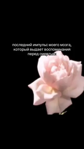 я кушаю додо пицца #kriper2004 #владкунякин #крипер2004 