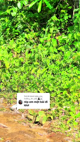 Trả lời @𝔇ưỡ𝔫𝔤_𝔅𝔦𝔦_08_🥷⚔️ lên lên tóp 🥰🥰 #vuongvanduoc2002 #xedovietnam🇻🇳 #xedokieng #wavedokieng #xuhuongtiktok #wave110 #wave #honda 