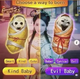 WHICH WILL U CHOOSE?? #seal #seals #sealtok #🦭 #fentysuperbrandday 