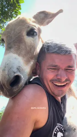 E vc que desvia verbas do povo né 🫏😂#video #viral #comedia 
