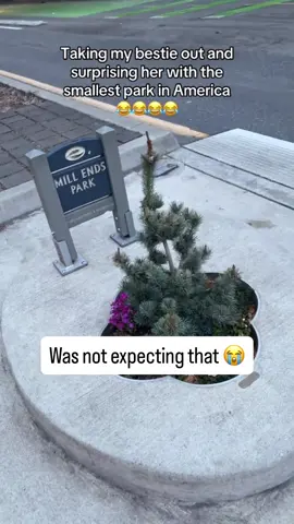 Not a walk in the park, but a walk by the park 😂 (via @Maggie Hart) #park #funny #friend 