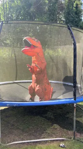 Welcome to Jurassic Park #jurassicpark #dinosaur #dinosaurs #jurassicworld 