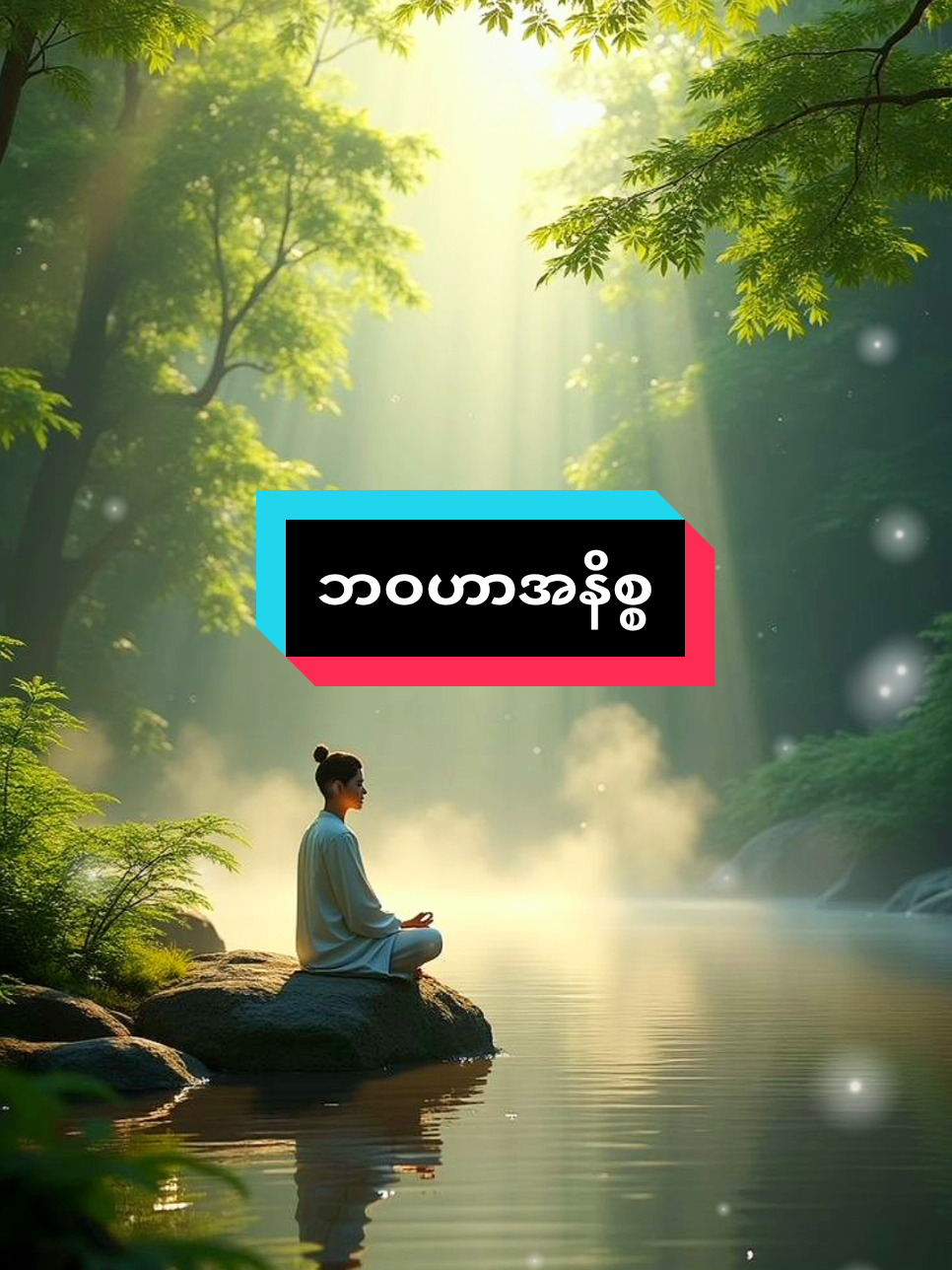 #တရားတော်များ #ပါချုပ်ဆရာတော်ဘုရာကြီး🙏🙏🙏 #ဓမ္မဒါန #တရားတို #fyp 