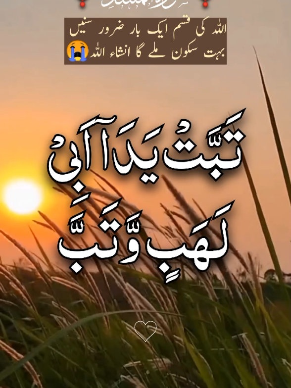 surah ul Masad with Urdu translation ☝️🕋☝️ #ارح_سمعك_بالقران #ارح_سمعك #راحة_نفسية #دوردشریف_پڑھ_لیجے #صلوا_على_رسول_الله @TiktokPakistanOfficial @TikTok @CapCut 