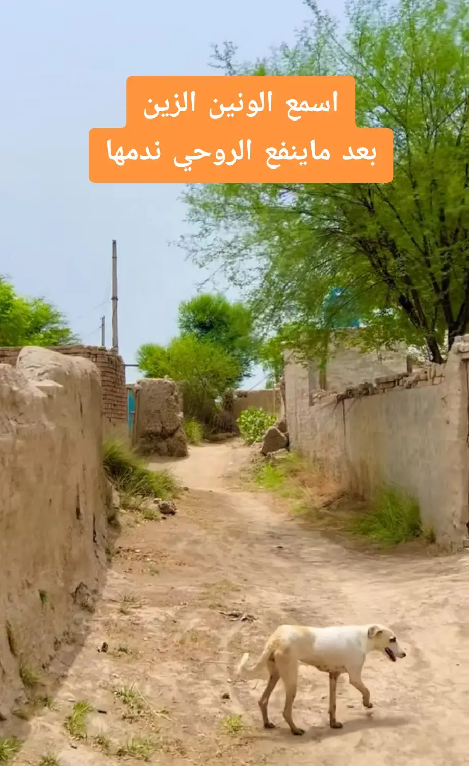 #مواويل_عراقية_حزينه💔  #الطرب_العراقي_الاصيل  #ونين_يقطع_نياط_القلب_بصوت_جنوبي_حزين  #اصوات_خالده_لاتنسى♥️♥️♥️  #اوجاع_لاتنتهي_واحلام_لن_تتحقق😴  #ااااااااااااه😭💔😭💔 #الفراق_اقسى_انواع_العذاب💔🤕 #مواويل_عراقية_حزينه💔 