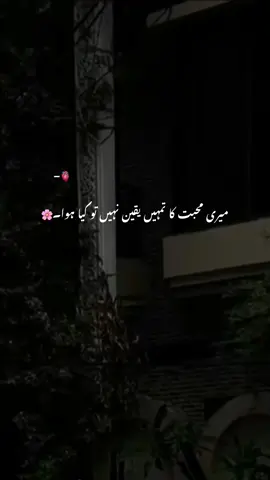 میری محبت کا تمہیں یقین نہیں تو کیا ہوا۔🌸 Repost Request Join Whstapp group link bio #aesthetic #poetry #poetrystatus #grow #account #foryou #foryoupagе #1mili 