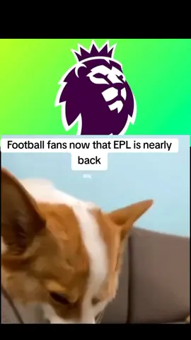 EPL is about to be BAACK!!!🥳 #foryou #fyp #viral #PremierLeague 