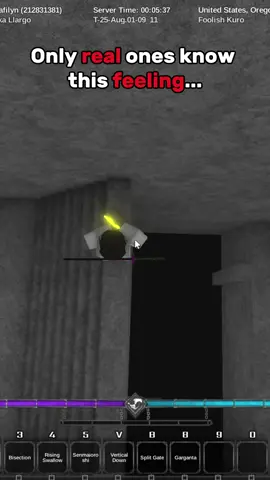 quiggas would never know. #typesoul #typesoulroblox #roblox 