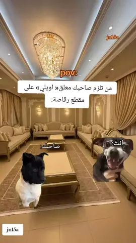 تريد تضحك؟! تابعني وتابع هاذا الحساب @M  #متابعه_لايك_تعليق#صاحبك#مقطع#ميمز#منشن