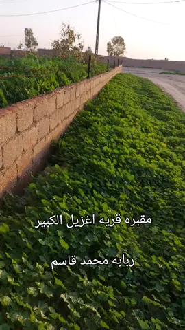 #ربابه #محمد #قاسم #قديم #حزينه #قديمك_نديمك #عتابات_مؤثرة_حزينة😢😢😢😢😢 #مديح #قريه #اغزيل #الكبير @ام خـ𓆩𝑮𓆪ـدود🧡🥺 @نبض قلبي💗💗 @عتب @ملكةالحزان💔😭💔😭💔 