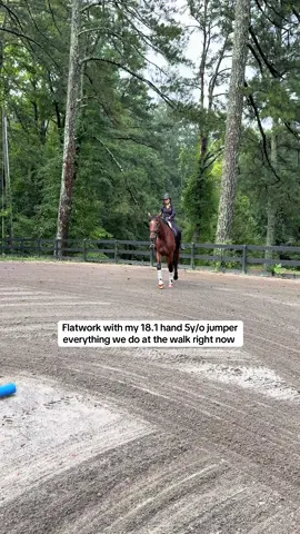 pt. 1! ❤️ #equestrian #horse #foryoupage #horsegirl #viralvideosofficial #horselife #giant4yearold #giant4yearold #equestrianlife #horsesontiktok #fypdongggggggg #fyppppppppppppppppppppppp #horseshow #horsetok #viral #horses #fypシ #fyp #fypp 