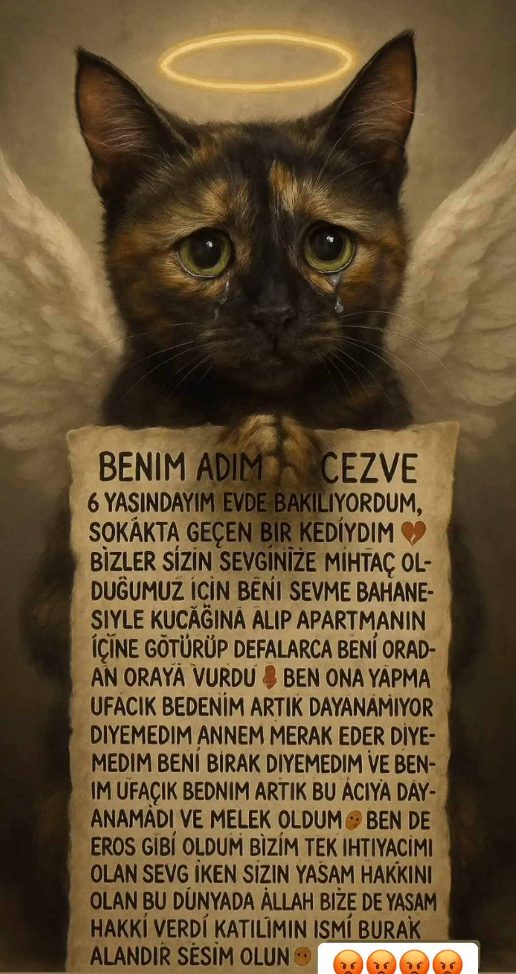#hayvanaşiddetehayır #hayvanlaradokunma #kedi #dilsizdostlar #fy 